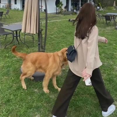 会计师2 海报